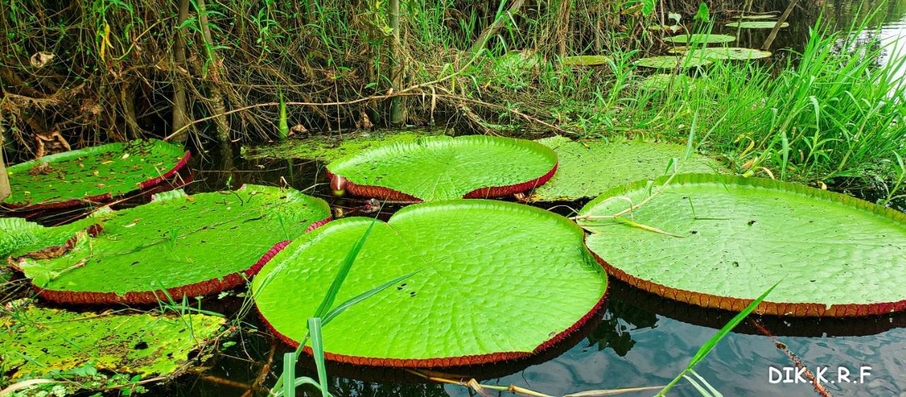 Pacaya Samiria Amazon Lodge Nauta Bagian luar foto