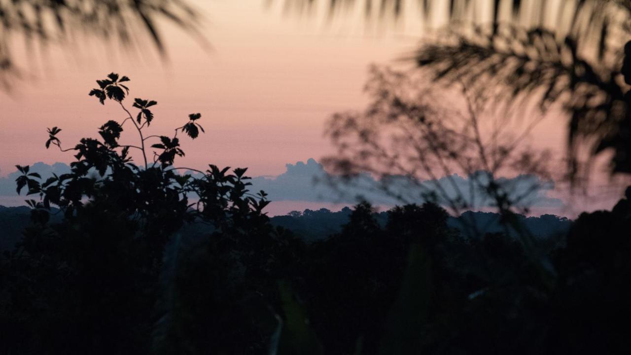 Pacaya Samiria Amazon Lodge Nauta Bagian luar foto