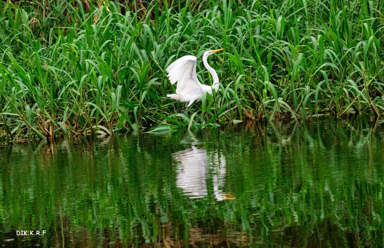 Pacaya Samiria Amazon Lodge Nauta Bagian luar foto